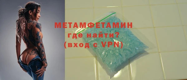 сатива Карпинск