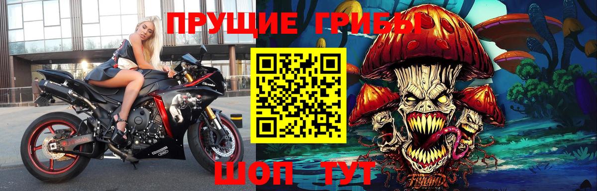 Галлюциногенные грибы мицелий  Вход с VPN  Усть-Джегута 