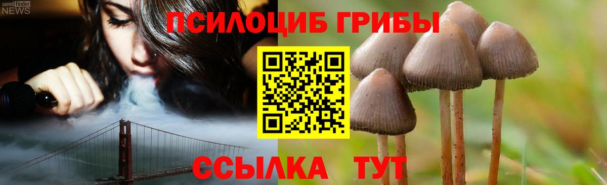 Галлюциногенные грибы Psilocybine cubensis Усть-Джегута