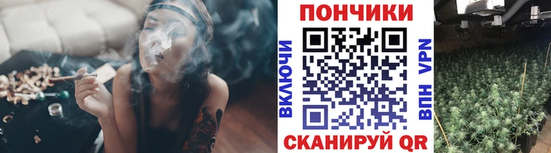 МАРИХУАНА планчик  kraken ССЫЛКА  мориарти наркотические препараты  сколько стоит  Усть-Джегута 